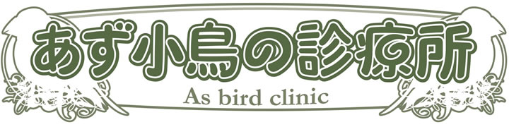 あず小鳥の診療所