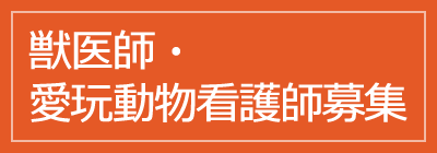 リクルート 獣医師・愛玩動物看護師募集